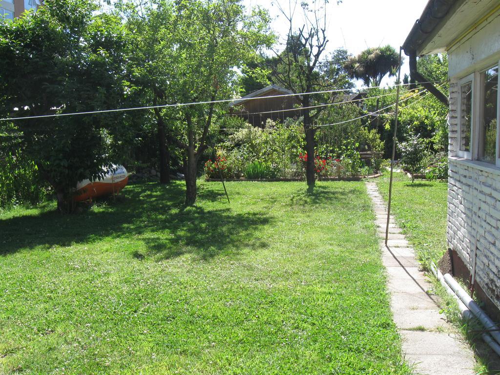 Hostal Entre Araucarias Temuco Exteriér fotografie
